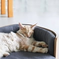 thumbnail image 3 of Puppy Dog Sofa,Pet Sofa for Small Medium Dogs,Dog Bed Pet Beds with Washable Velvet Cushion Cover for Dogs Cats, 3 of 8