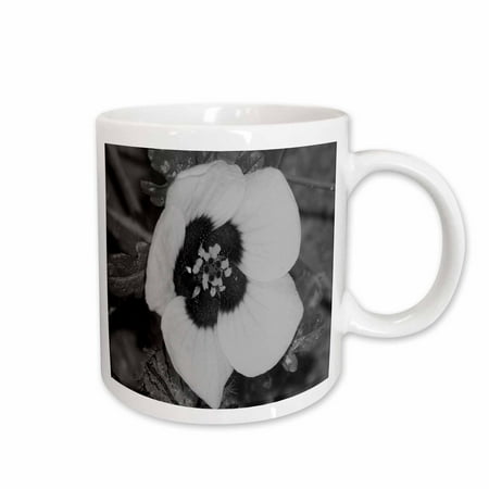 

3dRose Wild Flower Black n White Ceramic Mug 11-ounce