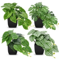 4 Pack Small Fake Plants Black Artificial Mini Faux Plants for Bathroom Office Desk Shelf Table Accessories Decor Indoor