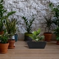 thumbnail image 2 of 4pcs Window Box Planter Vegetable Flower Planter Box Rectangular Flower Pot Window Vegetable Growing Pot Container, 2 of 8
