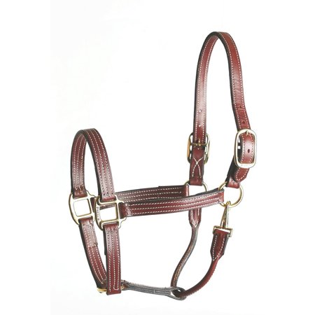 Perris Leather Havana Stable Halter Horse