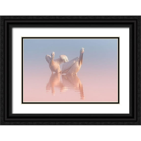 Rublina, Natalia 32x23 Black Ornate Wood Framed with Double Matting Museum Art Print Titled - Two Pelicans