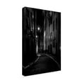 thumbnail image 2 of Trademark Fine Art 'Sweden Alley' Canvas Art by Maciej Duczynski, 2 of 3