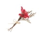 thumbnail image 5 of Cateissary Durabilidad y encanto duraderos en ramo de flores secas naturales flor en relieve elegante HS-21, 5 of 6