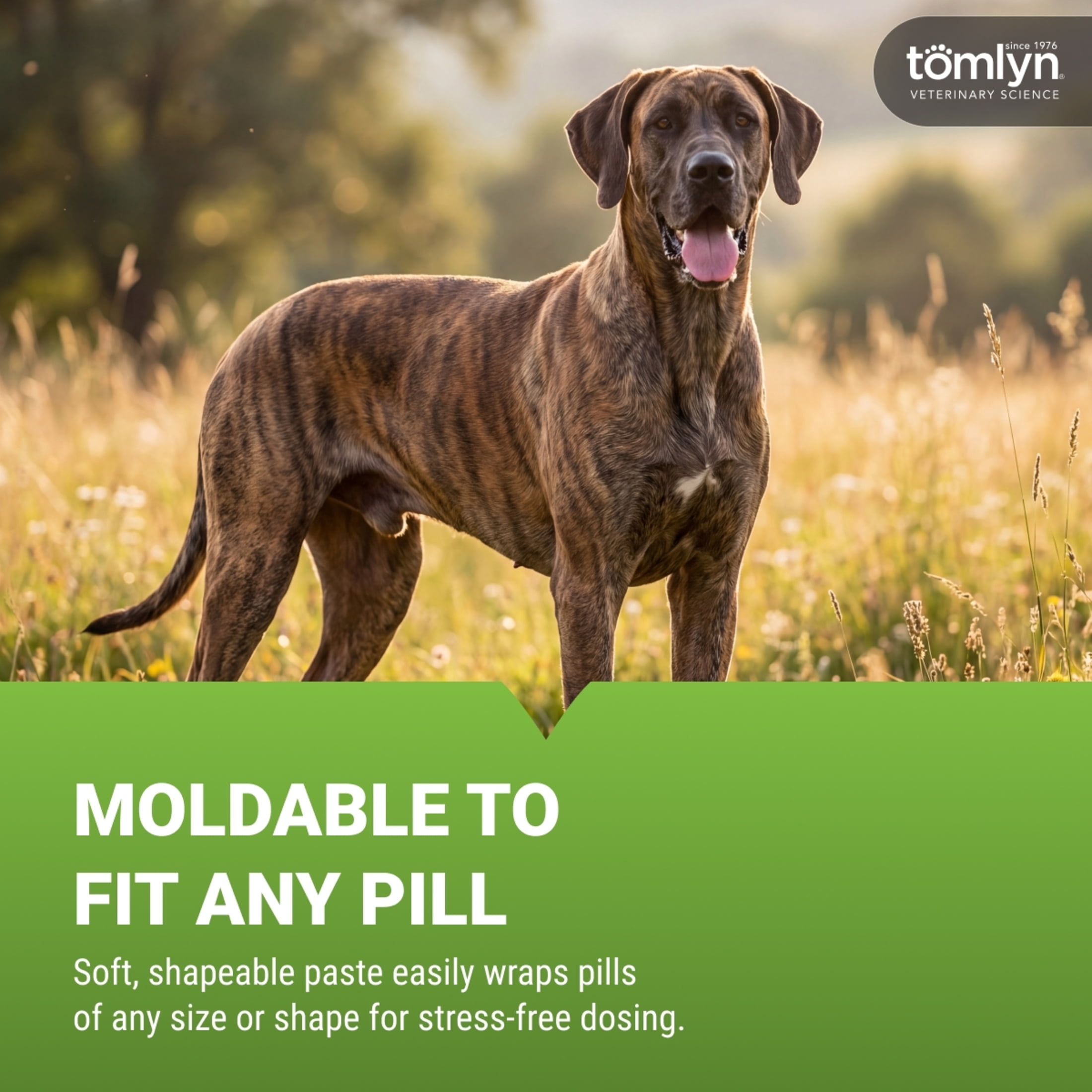 Tomlyn Pill Masker Bacon Flavor Paste for Dogs and Cats, Helps Hide the Taste and Smell of Capsules, Wafers, Tablets, and Liquid Drops, 56 Servings Per Container.