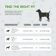 thumbnail image 4 of COCOYO Y11 Disposable Male Dog Wraps, Extra Small Size, 84 Count, Super Absorbent, Breathable, 4 of 8