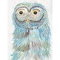 thumbnail image 2 of Dyer, Beverly 19x24 Black Ornate Wood Framed with Double Matting Museum Art Print Titled - Mrs Owl, 2 of 4
