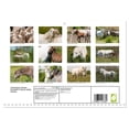 thumbnail image 2 of Camargue horses - Southern French white horses (Monthly Wall Calendar 2026 16.5 x 23.4 (open)), CALVENDO 14 Month Calendar, 2 of 9