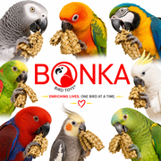 Bonka Bird Toys 846 Palm Tree Bird Toy