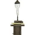 thumbnail image 3 of Osram/Sylvania Basic Halogen Bulb - Fog Light, 12.8v 37.5W Pack of 1, 3 of 7