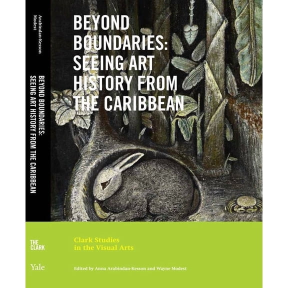 Clark Studies in the Visual Arts Beyond Boundaries: Seeing Art History from the Caribbean, (Paperback)