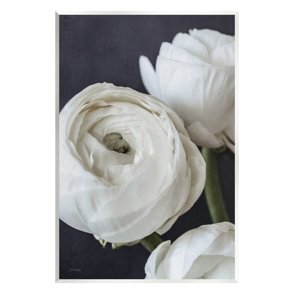 Stupell Industries Budding Ranunculus Flower Blooming Close Up Petals Photograph Unframed Art Print Wall Art, Design by Jennifer Rigsby