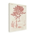 thumbnail image 2 of Trademark Fine Art 'Antique Coral Seaweed II' Canvas Art by Vision Studio, 2 of 4