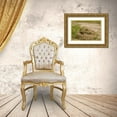 thumbnail image 3 of Illg, Cathy and Gordon 18x13 Gold Ornate Wood Framed with Double Matting Museum Art Print Titled - TX, Hidalgo Co, Western diamondback rattlesnake, 3 of 4