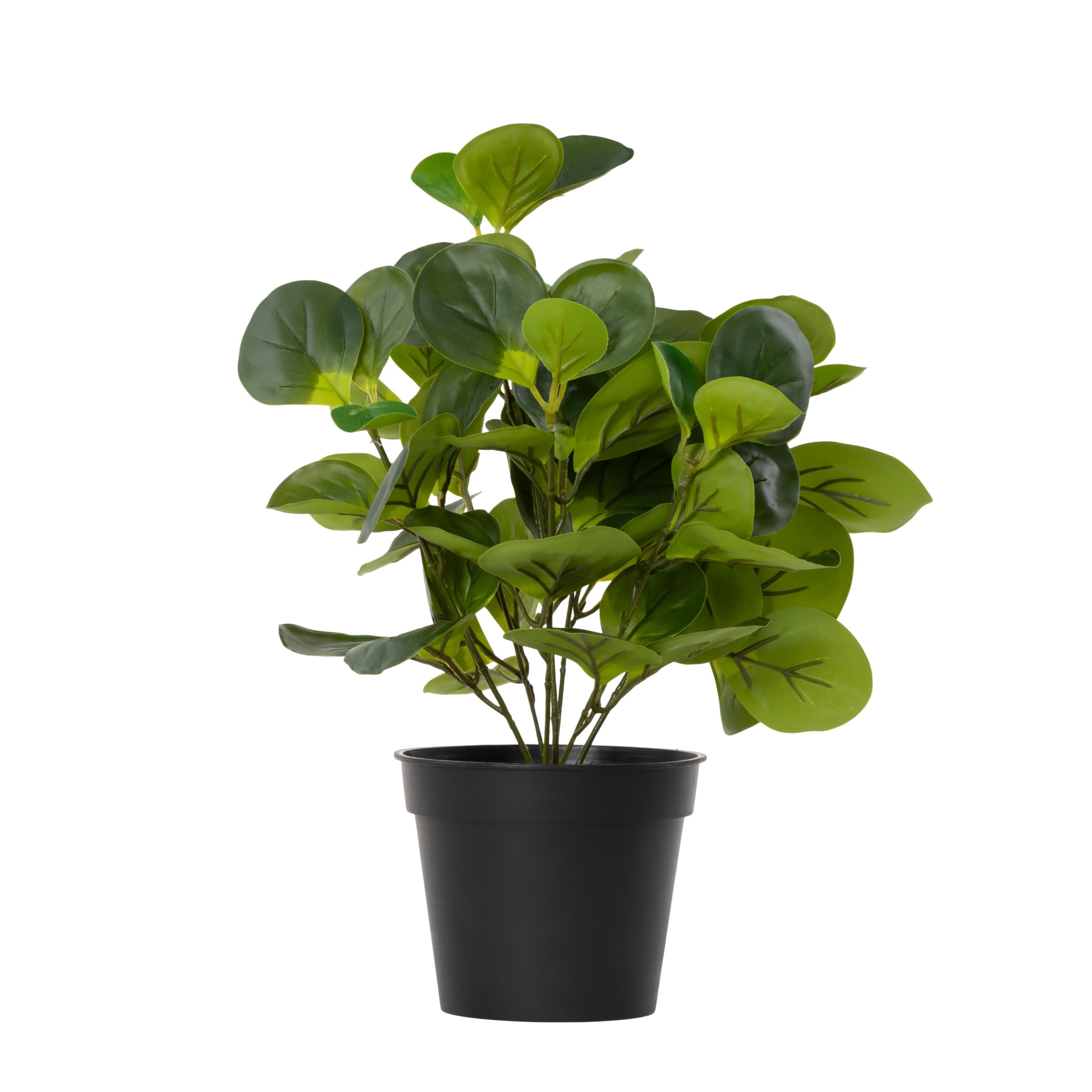 DecMode 13" Artificial Eucalyptus Plant in Realistic Leaves and Black Round Pot