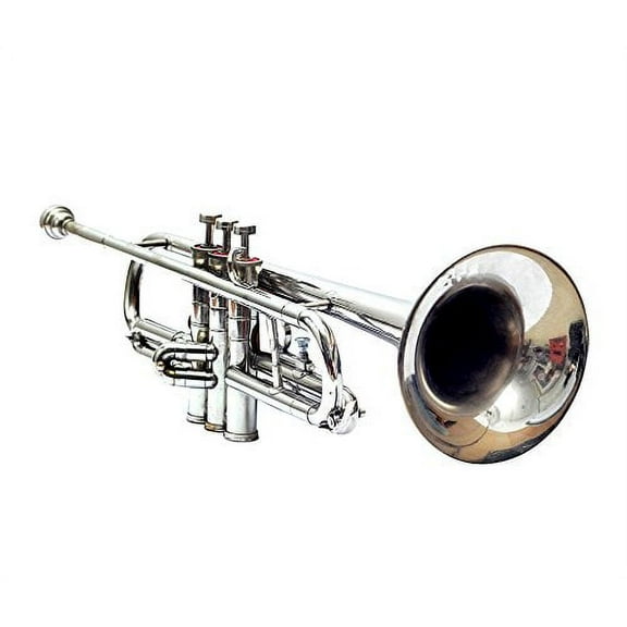 trumpet ni with hard case and mouthpiece