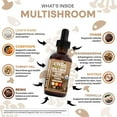 thumbnail image 2 of Mushroom Supplement Liquid Drops with Lions Mane Turkey Tail Cordyceps Reishi Chaga Shitake Maitake Tremella Oyster Mushrooms Poria Supplement and Enokitake Mushrooms Complex Blend by Clean Nutra, 2 of 10