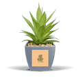 thumbnail image 1 of Sea Simple Art Deco  Fashion Fake Pineapple Flower Pot Vase Mini Decor, 1 of 3