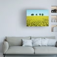 thumbnail image 3 of Ben Heine 'Brothers' Canvas Art, 3 of 3