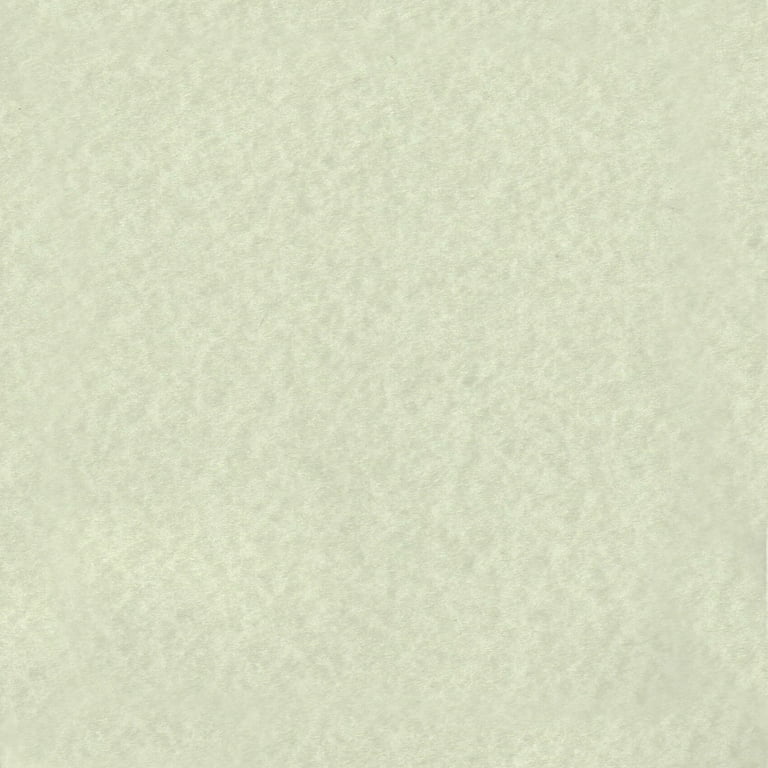 Parchment Sage Green Cardstock - 8.5 x 11 inch - 65Lb Cover - 50 Sheets -  Clear Path Paper