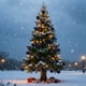 thumbnail image 5 of 12 bolas navideñas de terciopelo flocadas, adornos navideños de plástico, adornos colgantes decorativos para árbol de Navidad, decoración de 2,4 cm., 5 of 6