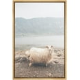 thumbnail image 3 of PixonSign Framed Canvas Print Wall Art Long Wool Sheep in Desert Canyon Nature Wilderness Photography Realism Contemporary Landscape Colorful Pastel for Living Room, Bedroom, Office - 16"x24" Natural, 3 of 5