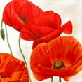thumbnail image 2 of Villa, Luca 26x26 White Modern Wood Framed Museum Art Print Titled - Poppies II, 2 of 4