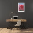 thumbnail image 3 of Jaynes Gallery 11x14 White Modern Wood Framed Museum Art Print Titled - USA-Washington State-Seabeck Underside close-up of a gerbera daisy, 3 of 4