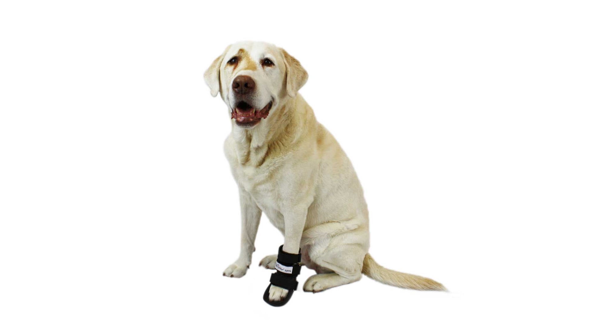 bootie splint for dogs