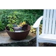 thumbnail image 1 of AquaGarden Mini Pond Kit, 1 of 1