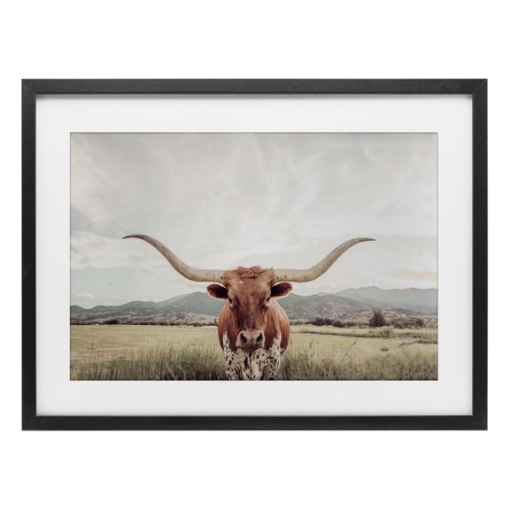 Stupell Industries Farmhouse Longhorn Portrait Open Meadow Black Framed Print Under Glass, 20 x 14, by Sisi and Seb
