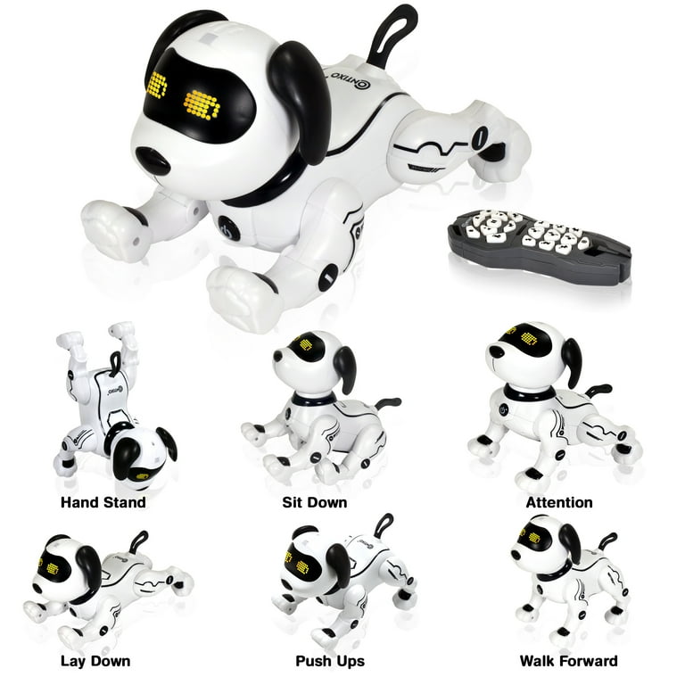 Black and sale white robot dog