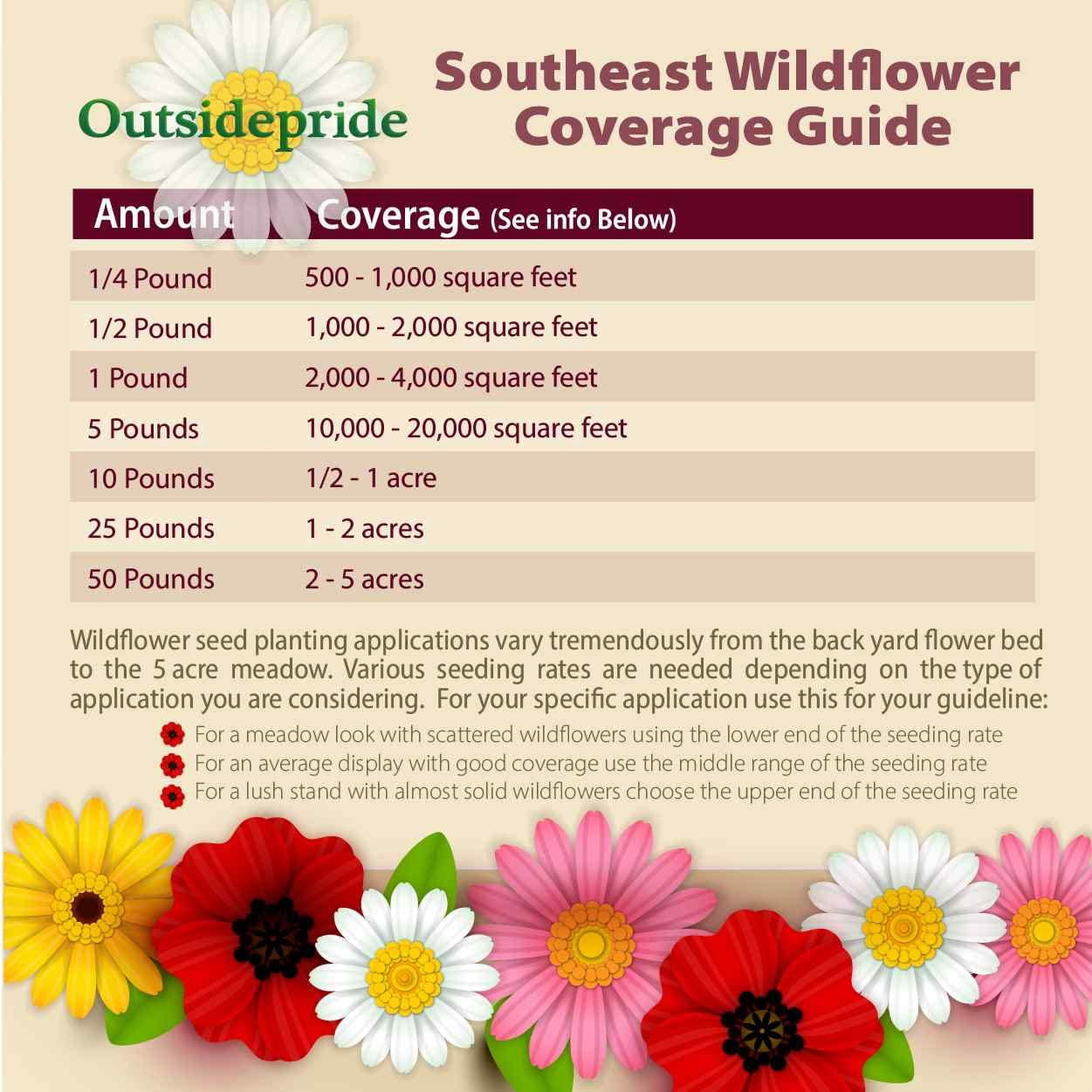 Outsidepride 5 lb. Southeast Wild Flower Seed Mix for Southeastern States