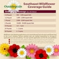 thumbnail image 3 of Outsidepride 5 lb. Southeast Wild Flower Seed Mix for Southeastern States, 3 of 5