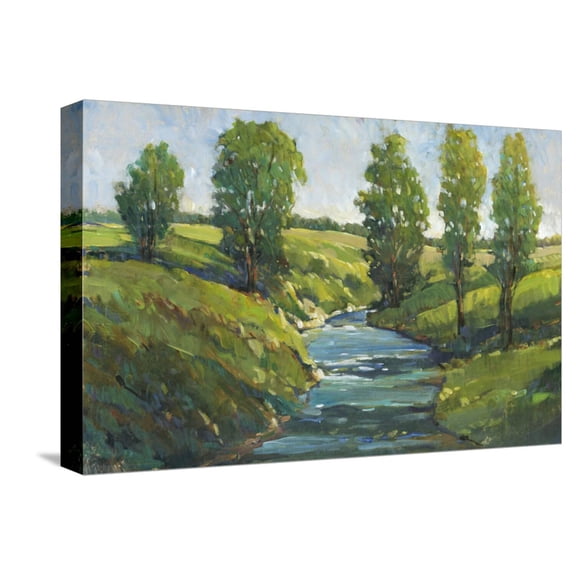 Art.com Lush Landscape III Stretched Canvas Print Wall Art by Tim OToole, 18" x 12"