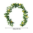Emulated Vine Border New Home Christmas Holiday Hanging Fruit Vine
