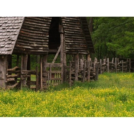 Pottery Barn South Carolina Buttercups and Cantilever Barn, Pioneer Homestead, Great Smoky Mountains National Park, N. Carolina Print Wall Art By Adam Jones ()