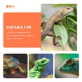thumbnail image 4 of SHISUYAN Lizard Traction Rope Reptile Outdoor Leash Chameleons Pulling Rope Pet Supply, 4 of 8