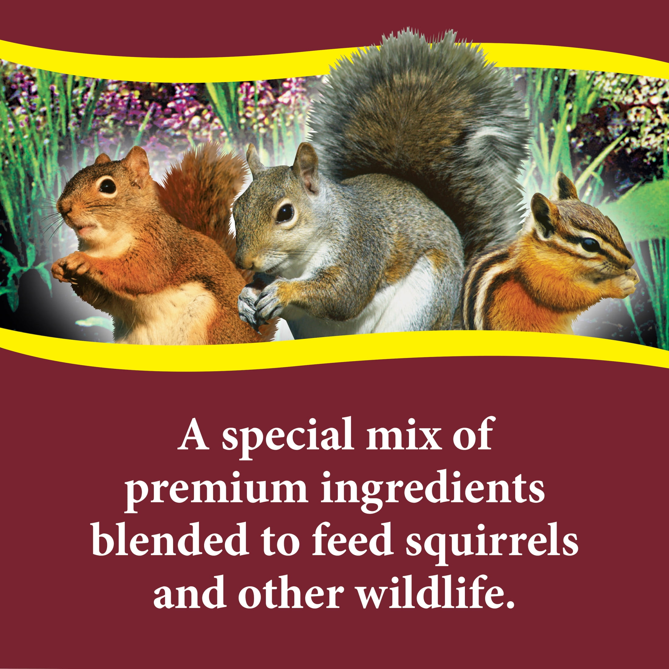 (4 pack) 3-D Pet Products Premium Squirrel and Wildlife Food, 20 lb., Dry, 1 Pack