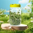 thumbnail image 4 of Wiueurtly Sprouting Jar Lids Growing Kit For Wide Mouth Mason Jar Indoor Germination Kit Sprouter Sprout Maker For Broccoli Radish Mix, 4 of 9