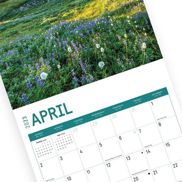 2023 Wildflowers Monthly Wall Calendar by Bright Day, 12 x 12 Inch, Nature  Garden - Walmart.com