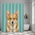 thumbnail image 3 of Shower Curtain Corgi Dog Wear Glasses Bathroom Curtains with Hooks, Waterproof Fabric Green Funny Animal Bath Shower Curtains Set for Bathroom Bathtubs Decor 72x72 Inch, 3 of 9