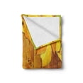 thumbnail image 2 of Fall Soft Flannel Fleece Throw Blanket, Colorful Vivid Seasonal Leaves on the Wooden Planks Natural Design Rustic, Cozy Plush for Indoor and Outdoor Use, 70" x 90", Yellow Orange Green, by Ambesonne, 2 of 6