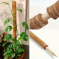 thumbnail image 4 of 4 packs 19.6inch Monstera Plant Support Stackable Moss Poles for Plants with 2 rolls and 5 tips, Coir Totem Pole Tall Moss Pole for Climbing Plants, Sphagnum, Indoor Potted Plants, 4 of 5