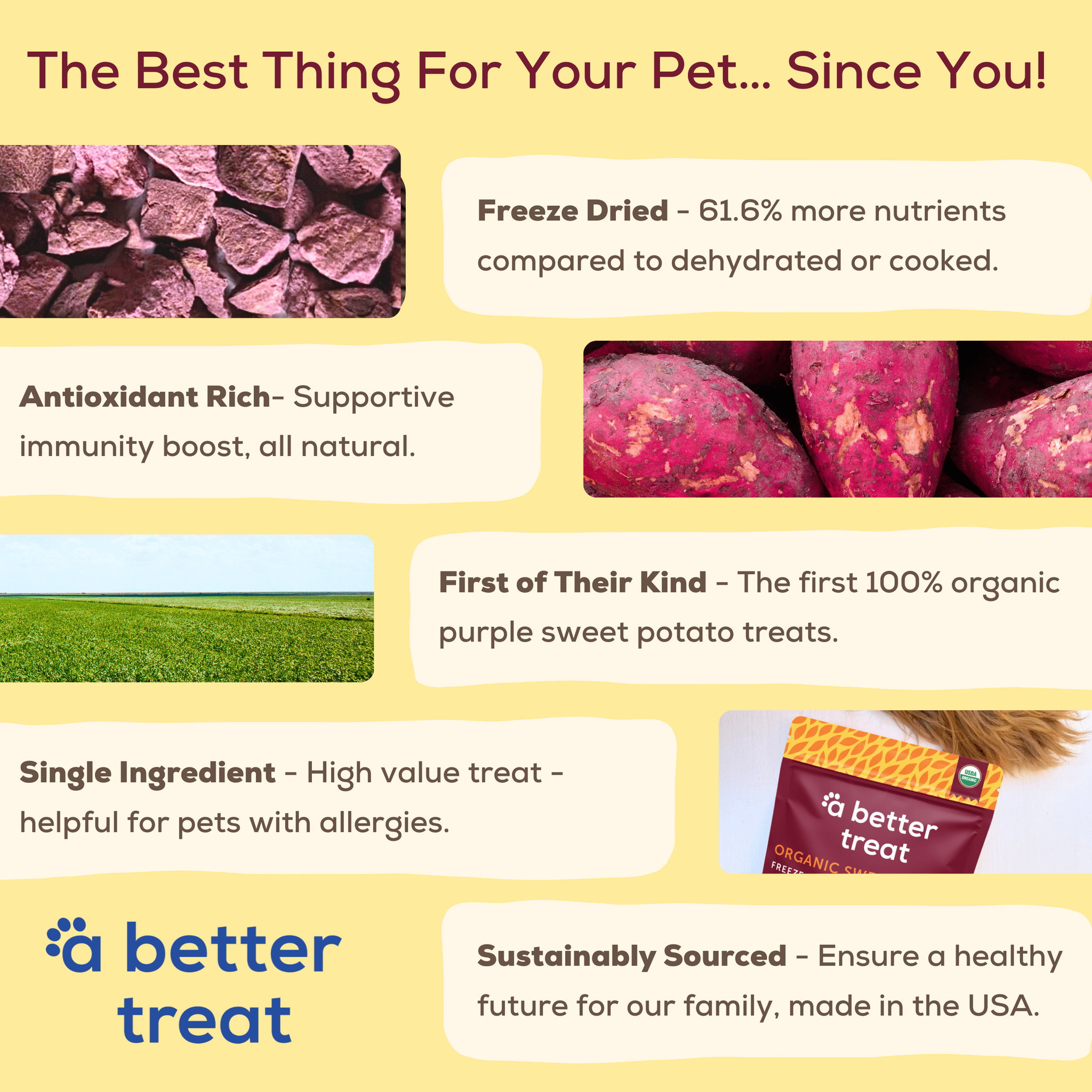 (Pack Of 5) A Better Treat Dog Treat 1 Oz