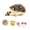 brown, variant on Xuanheng 5'' Reborn Hedgehog Toy Funny Mini Hedgehog Toy for Birthday Gift Girls Kids dark gray