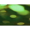 thumbnail image 1 of Ahgly Tapis Rectangulaire Lavable en Machine Intérieur Transitionnel Vert Forêt Foncé, 2 Pieds x 4 Pieds, 1 of 7