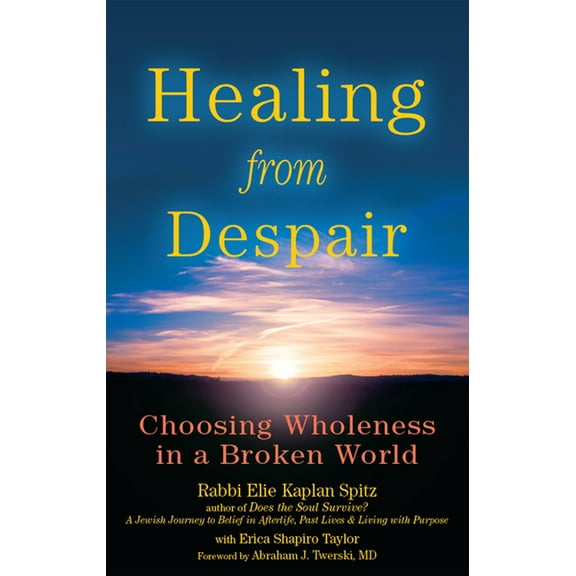 Healing from Despair: Choosing Wholeness in a Broken World, (Paperback)