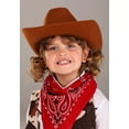 thumbnail image 2 of Cowgirl Chaps Costume, 2 of 6