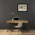 thumbnail image 3 of Hillert, Peter 18x14 Black Ornate Wood Framed with Double Matting Museum Art Print Titled - Golden Bowl II, 3 of 4